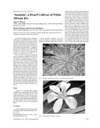 Pdf Amatola A Dwarf Cultivar Of White African Iris Alan