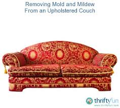 removing mold and mildew from an