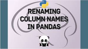rename column names in python pandas