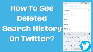 how to see deleted search history on