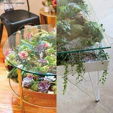 Diy Glass Top Succulent Table Diy