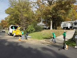 Search 123 rental properties in falls church, virginia. Lopez Tree Services Tree Removing Services Fairfax Virginia