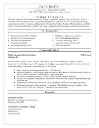 Resume Competencies Recruiter Resume Example Core Competencies