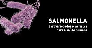 Salmonella infection can be the result of eating food tainted with bacteria, but there are other ways you can get it. Salmonella Sorovariedades E Os Riscos Para A Saude Humana Blog Neoprospecta