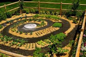 Zen Vegetable Garden To Die For