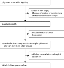 The terminality of stage 4 mesothelioma. Ipilimumab And Nivolumab In The Treatment Of Recurrent Malignant Pleural Mesothelioma Initiate Results Of A Prospective Single Arm Phase 2 Trial The Lancet Respiratory Medicine