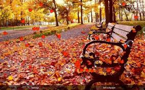 Image result for autumn images