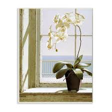 Stupell Industries White Orchid In