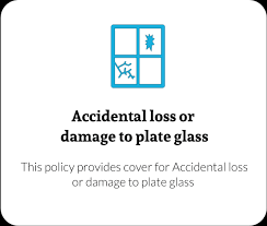 Plate Glass Insurance Star Discover