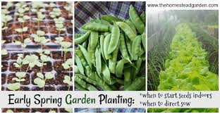Early Spring Garden Planning
