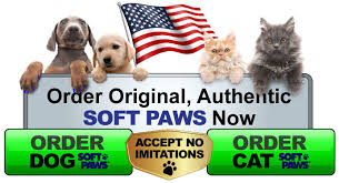 Questions Answers Soft Paws For Dogs