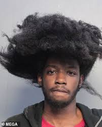 The mane starts with a simple and neat design on the crown, but things get crazy with. Ups Worker Accused Of Stealing Packages He Was Supposed To Deliver Daily Mail Online