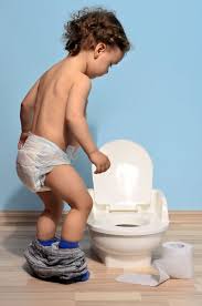 The Essential Items For Potty Training