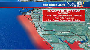 79 Accurate Tampa Tide Chart