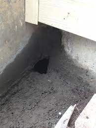 How to repair a hole in exterior concrete foundation - Home Improvement  Stack Exchange
