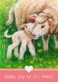 Maria Tiqwah Art - Fijne moederdag voor all mensenmoeders én voor alle  andere dierenmoeders 💚 | Facebook