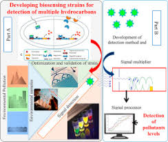 Development Of Fluorescent Protein Based Biosensing Strains