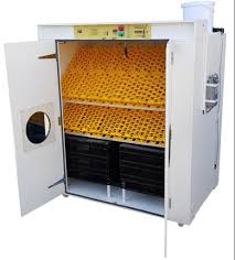 2000 egg incubator at rs 20000