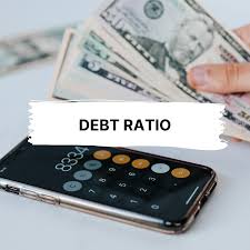what is a debt ratio guide with exles