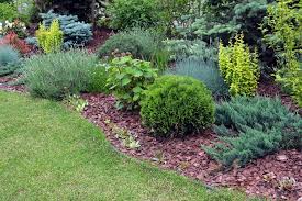 7 Tips For Low Maintenance Gardens