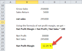net profit margin definition formula