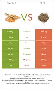 wheat vs teff in depth nutrition