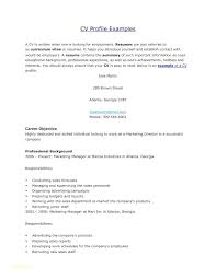 Examples Of Professional Profiles On Resumes Resume Tutorial Pro