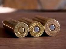 Fastest .30-Caliber Cartridge in the World: .30-378 Weatherby ...