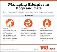 fall pet allergies and how carpet