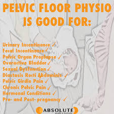 pelvic floor physiothe