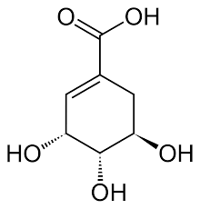 シキミ酸 - Wikipedia