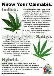 With an unbeatable cerebral high and moderate body relaxation, it gives you the best of both worlds. Sativa Or Indica