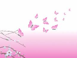 Butterfly,Wallpaper - Schmetterlinge ...
