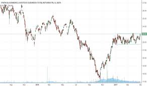 Cow Stock Price And Chart Amex Cow Tradingview
