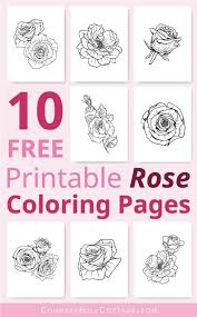 Free printable pictures of roses coloring pages are a fun way for kids of all ages to develop creativity, focus, motor skills and color recognition. Free Printable Rose Coloring Pages 10 Realistic Designs For Adults