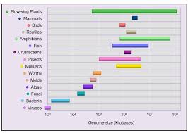 Genome Size Bioninja