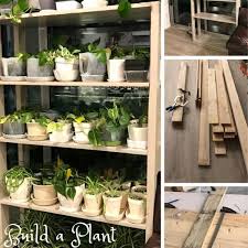 Wood Pallet Shelves Coat Hangers