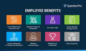 Employee Benefits Definition With 8 Types And Examples