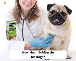 how much robitussin for dogs 2023