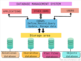 what is database management system dbms