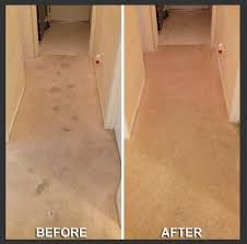 carpet cleaning omaha
