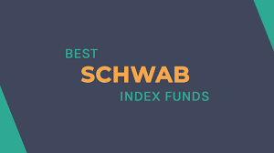 When you buy the schwab 500 index fund you're basically buying part of the 500 largest stocks listed on american exchanges. The Best Schwab Index Funds For Your Portfolio
