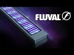 Fluval Led Aquarium Lighting Full Range Youtube