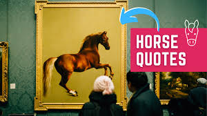 If you and your friends love animals and particularly horses, they will enjoy these funny horse pictures. Best Horse Quote Funny Horse Quote List For Horse Riders Listenology By Elaine Heney