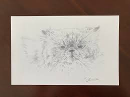Tailored to tickle the funny bone of a jokester or warm the heart of a sensitive soul, your card speaks your message to the honored recipient every time they read it again. Persian Cat Card Himalayan Cat Pencil Drawing Birthday Card Etsy