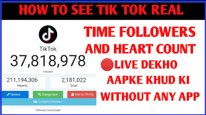 Urlebird is not associated with official tiktok. How To See Tik Tok Account Real Time Live Followers And Hearts Count Tik Tok Followers Count Youtube