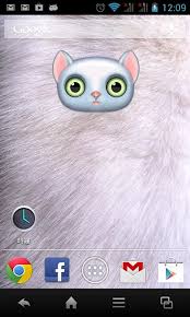 Zoo Cat Live Wallpaper For Android