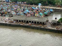 sassoon docks mumbai facts history