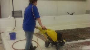 carpet cleaners in horn lake ms