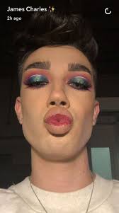 62 Ideas Makeup Face Charts James Charles Makeup In 2019